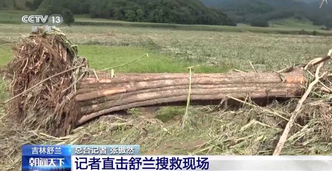 最新资讯 第17页