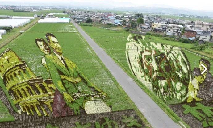 景区游客从40米高空坠落:水里有血迹景区游客从高空坠落，惊险瞬间背后的故事——水里有血迹