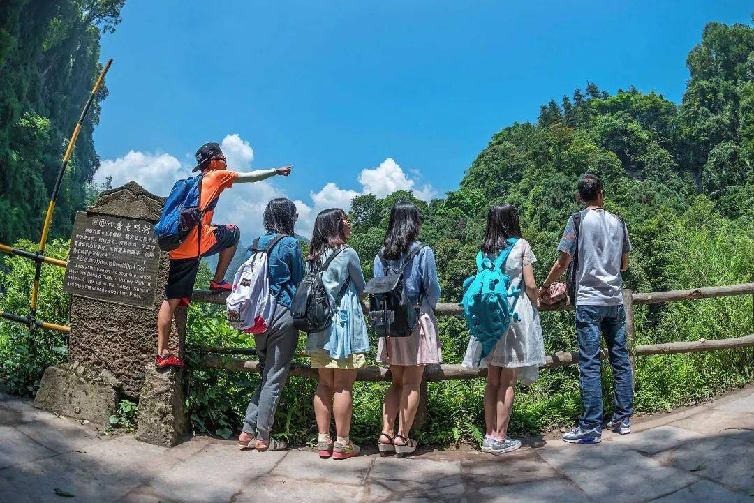 揭秘峨眉山陪爬团队:九成游客为女性