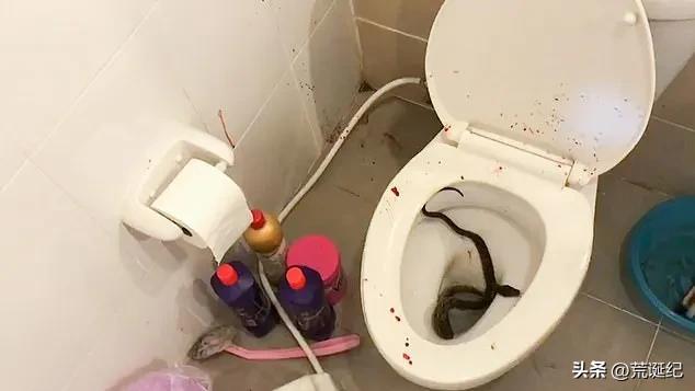 男子上厕所被蛇咬如果一个男子在上厕所时被蛇咬了，他需要立即采取一些紧急措施。以下是一些建议